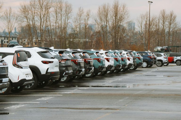 d-rental-drental-rent-renting-cars-noleggio-nlt-ayvens-arval-leaseplan-ald-leasys-volkswagenfinancial-noleggiolungotermine